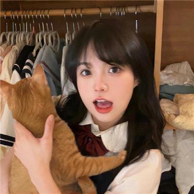 布兰卡龙大军